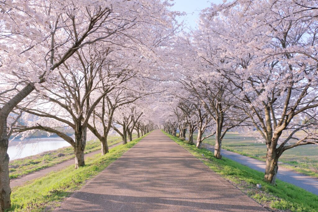 4月はライフプランが動く季節。今の保障はあなたに合っていますか？