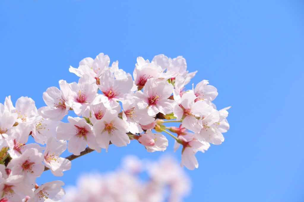 新年度スタート。暮らしの変化と自動車保険の見直しポイント